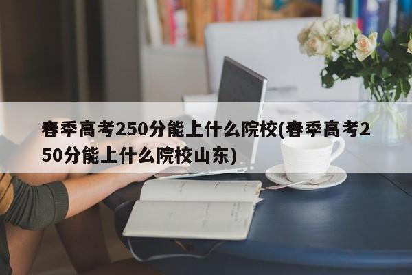 春季高考250分能上什么院校(春季高考250分能上什么院校山东)