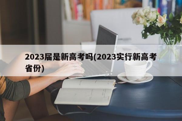 2023届是新高考吗(2023实行新高考省份)