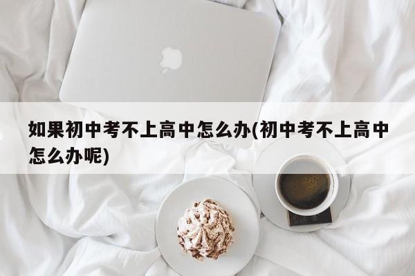 如果初中考不上高中怎么办(初中考不上高中怎么办呢)