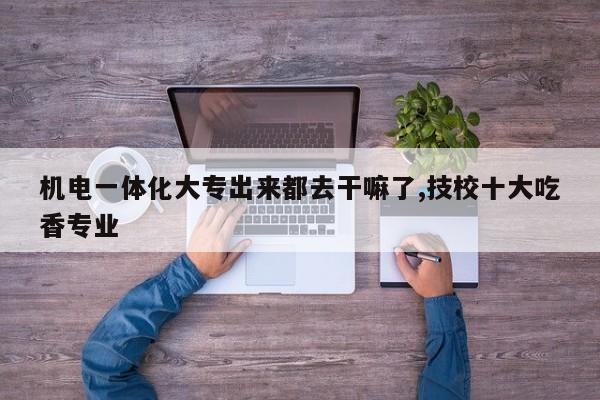 机电一体化大专出来都去干嘛了,技校十大吃香专业