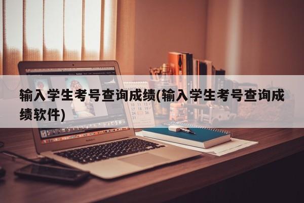输入学生考号查询成绩(输入学生考号查询成绩软件)