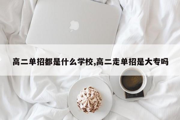 高二单招都是什么学校,高二走单招是大专吗