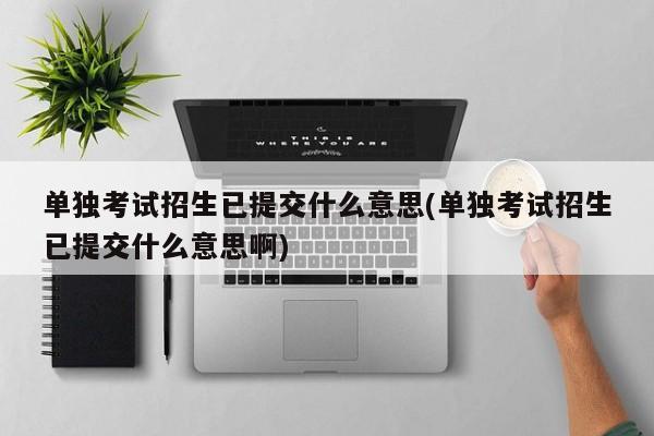 单独考试招生已提交什么意思(单独考试招生已提交什么意思啊)